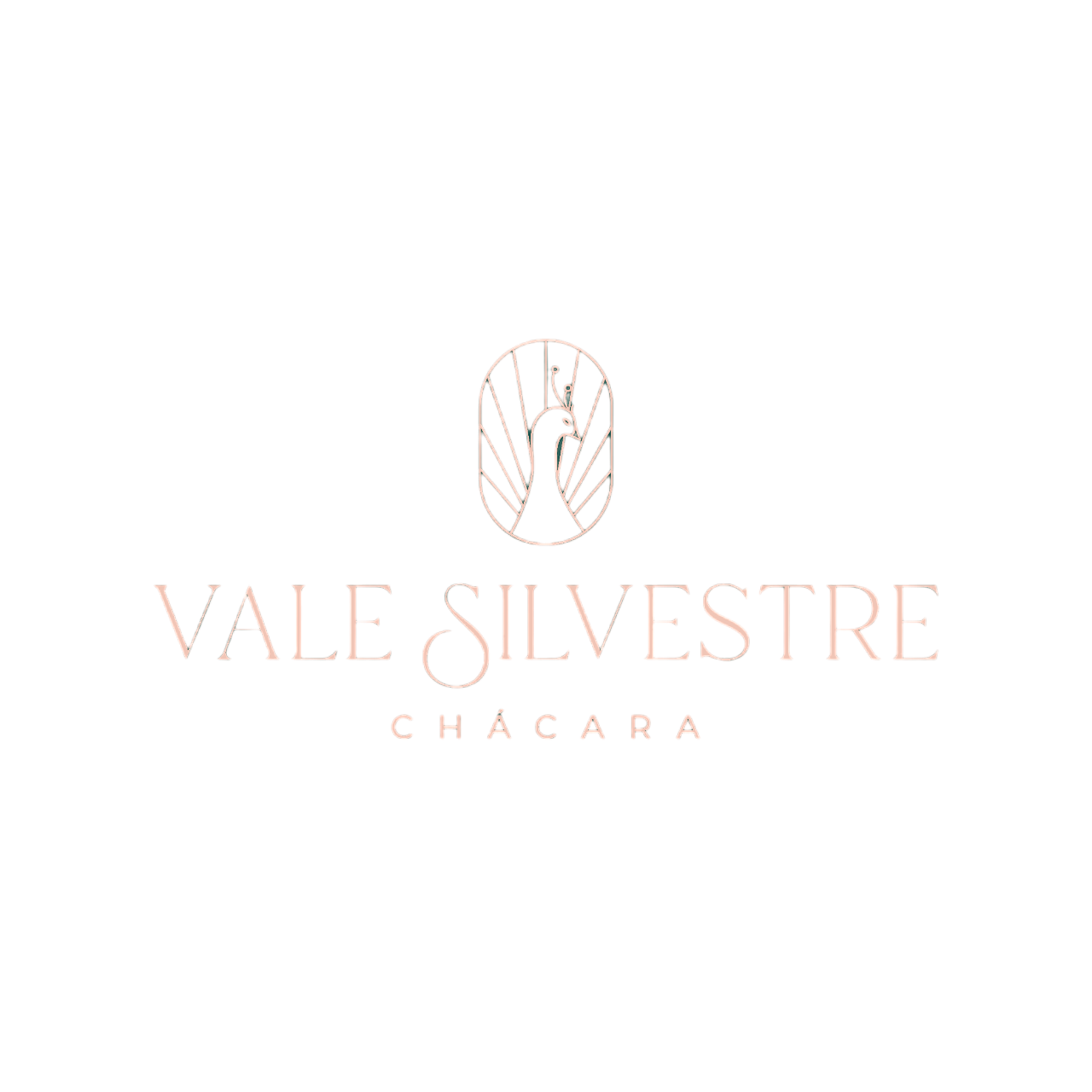 Vale Silvestre | Chácara para eventos em Curitiba